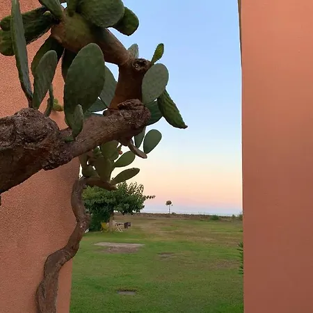 Studio A A 100 M De La Plage Avec Vue Sur La Mer Jardin Amenage Et Wifi Lägenhet Poggio Mezzana