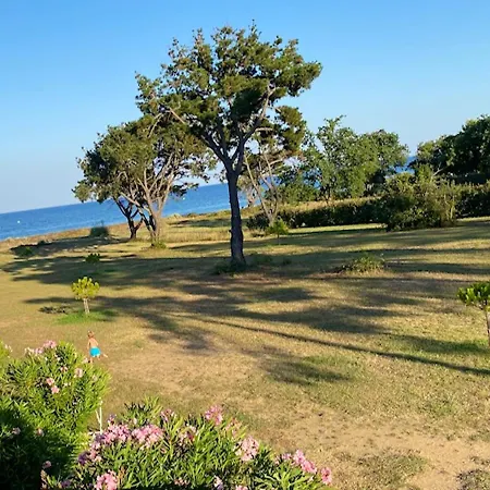 Studio A A 100 M De La Plage Avec Vue Sur La Mer Jardin Amenage Et Wifi Lägenhet