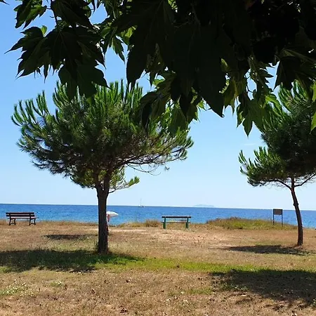 Lägenhet Studio A A 100 M De La Plage Avec Vue Sur La Mer Jardin Amenage Et Wifi Poggio Mezzana