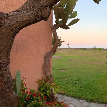 Studio A A 100 M De La Plage Avec Vue Sur La Mer Jardin Amenage Et Wifi Poggio Mezzana